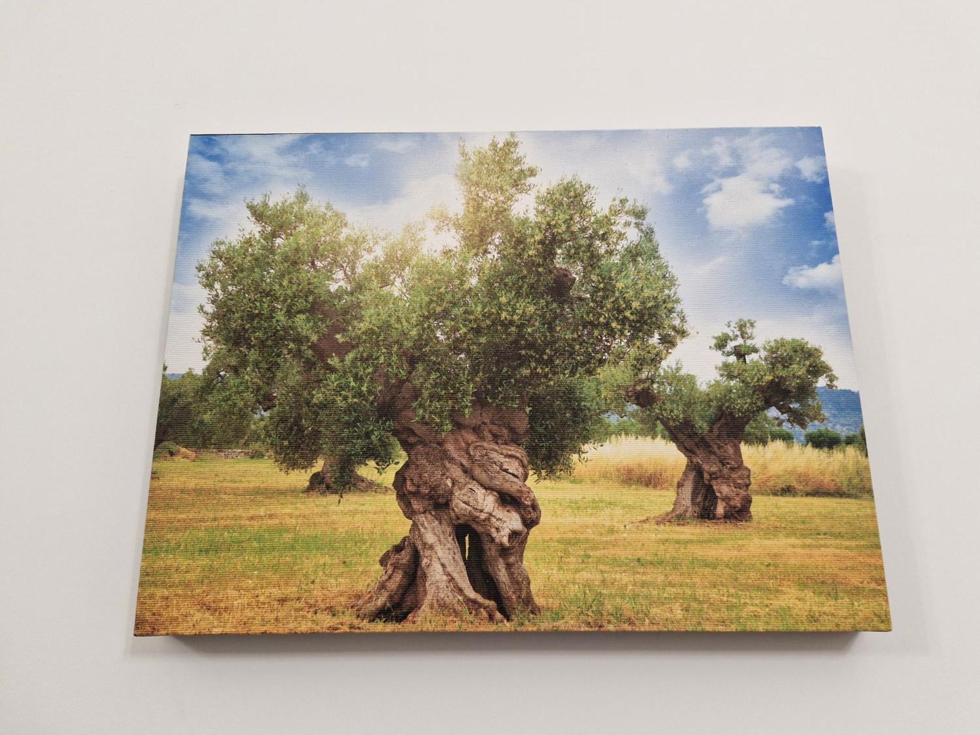 Le Tre Anfore Ceglie Messapica Exteriér fotografie